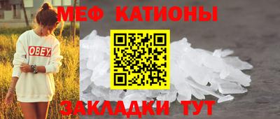 шишки Славгород
