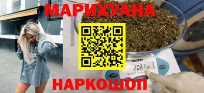 шишки Славгород