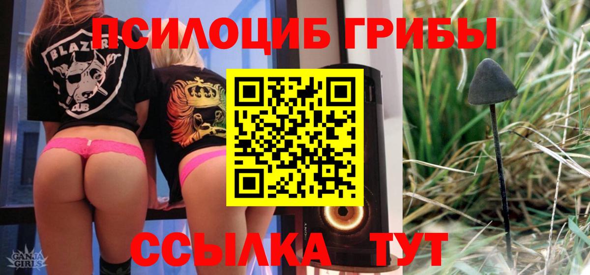 Галлюциногенные грибы MAGIC MUSHROOMS  Псилоцибиновые грибы Magic Shrooms  Вход с VPN  Орехово-Зуево 
